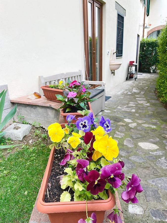 Dalu Florence Apartment Davide - Private Car Park 15 Minutes To The City Center Extérieur photo