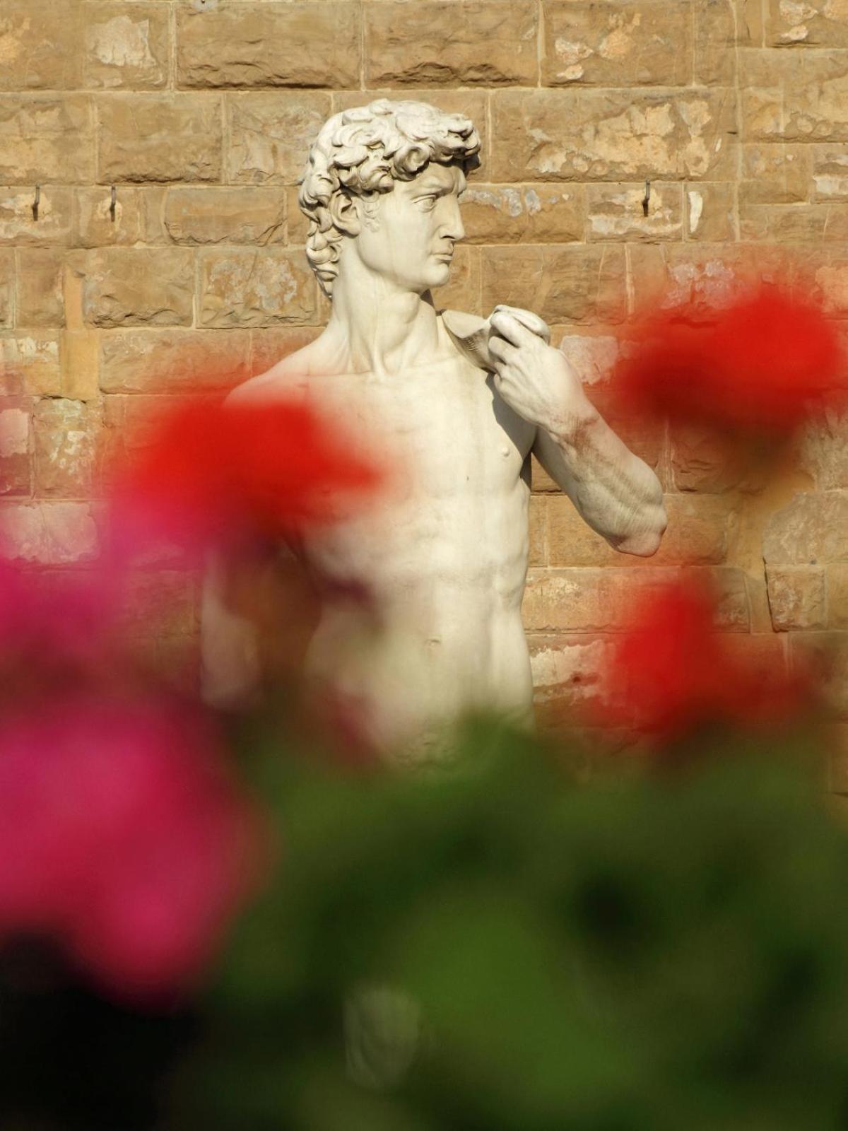 Dalu Florence Apartment Davide - Private Car Park 15 Minutes To The City Center Extérieur photo