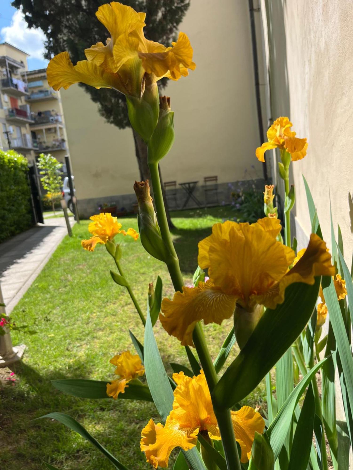 Dalu Florence Apartment Davide - Private Car Park 15 Minutes To The City Center Extérieur photo